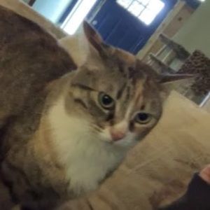 Meet your Posher, Matt